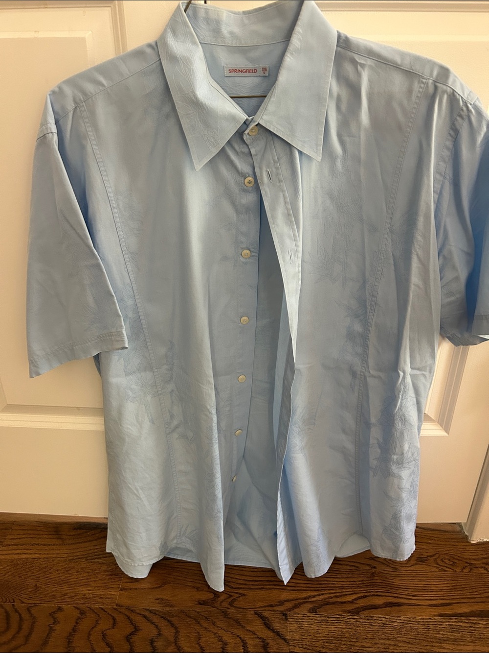 Light Blue Short-Sleeve Button-Down Shirt